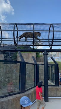 沖縄こどもの国に投稿された画像（2022/10/2）