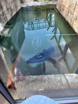 沖縄こどもの国に投稿された画像（2022/10/2）