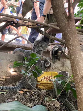 神戸どうぶつ王国に投稿された画像（2022/10/2）