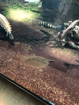 サンシャイン水族館に投稿された画像（2022/10/2）