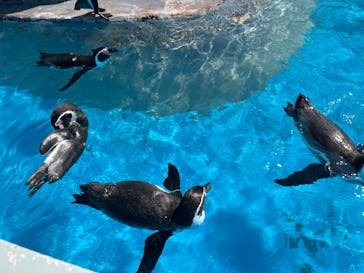 南知多ビーチランド＆南知多おもちゃ王国に投稿された画像（2022/10/2）