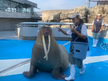 大分マリーンパレス水族館 「うみたまご」に投稿された画像（2022/10/2）