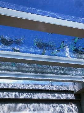 九十九島動植物園森きららに投稿された画像（2022/10/2）