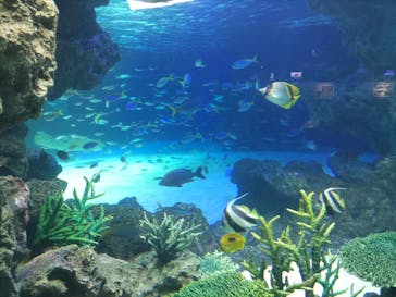 サンシャイン水族館に投稿された画像（2022/10/2）
