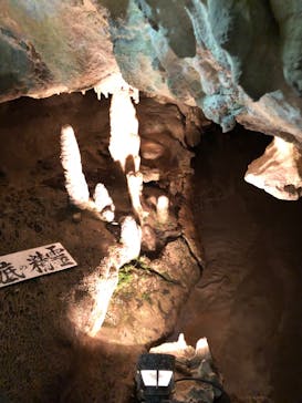 あぶくま洞に投稿された画像（2022/10/2）