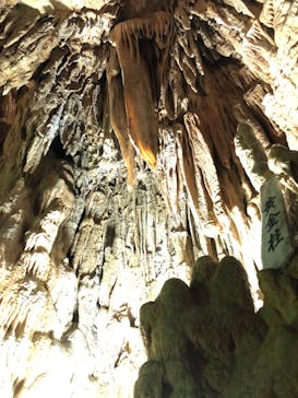 あぶくま洞に投稿された画像（2022/10/2）