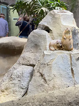 神戸どうぶつ王国に投稿された画像（2022/10/2）