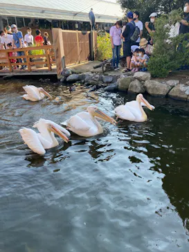 神戸どうぶつ王国に投稿された画像（2022/10/2）