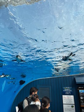 サンシャイン水族館に投稿された画像（2022/10/2）
