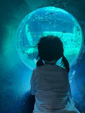 箱根園水族館に投稿された画像（2022/10/2）