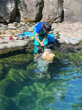 箱根園水族館に投稿された画像（2022/10/2）