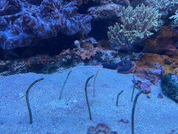 サンシャイン水族館に投稿された画像（2022/10/2）