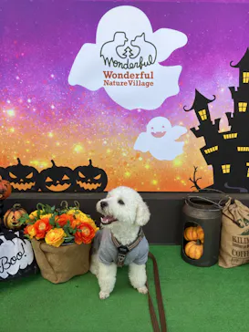 わんダフルネイチャーヴィレッジに投稿された画像（2022/10/2）