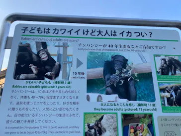 天王寺動物園に投稿された画像（2022/10/2）