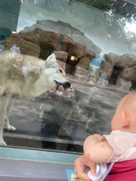 天王寺動物園に投稿された画像（2022/10/2）