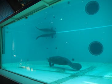 沖縄美ら海水族館に投稿された画像（2022/10/2）