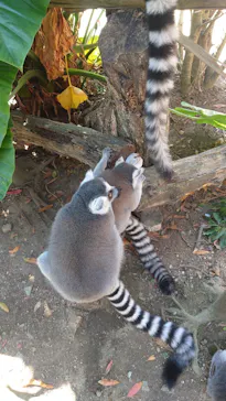 神戸どうぶつ王国に投稿された画像（2022/10/2）