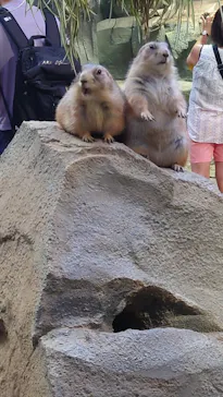 神戸どうぶつ王国に投稿された画像（2022/10/2）