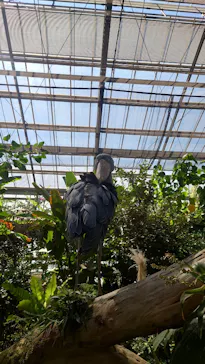 神戸どうぶつ王国に投稿された画像（2022/10/2）