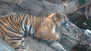 神戸どうぶつ王国に投稿された画像（2022/10/2）