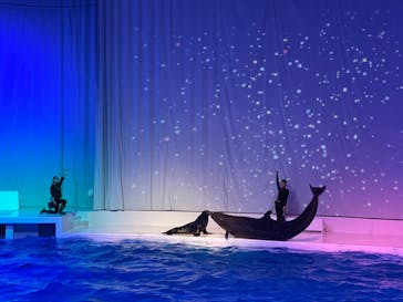 アクアワールド茨城県大洗水族館に投稿された画像（2022/10/2）