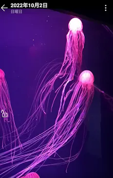 すみだ水族館に投稿された画像（2022/10/2）