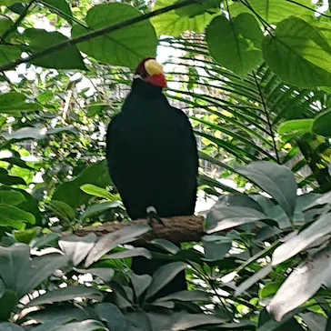 神戸どうぶつ王国に投稿された画像（2022/10/2）