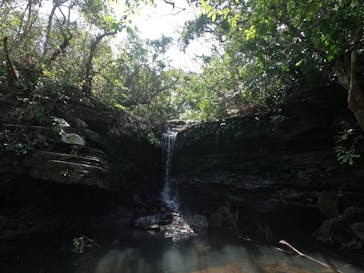 西表島 ADVENTURE PiPi（アドベンチャーピピ）に投稿された画像（2022/10/2）