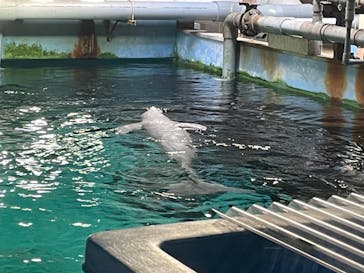 南知多ビーチランド＆南知多おもちゃ王国に投稿された画像（2022/10/2）