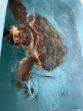 南知多ビーチランド＆南知多おもちゃ王国に投稿された画像（2022/10/2）