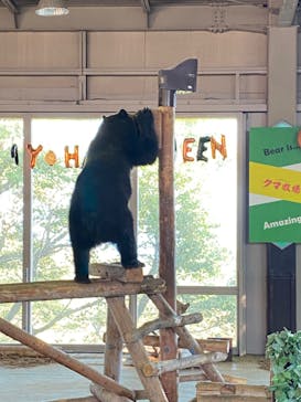 のぼりべつクマ牧場に投稿された画像（2022/10/2）