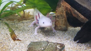 サンシャイン水族館に投稿された画像（2022/10/2）