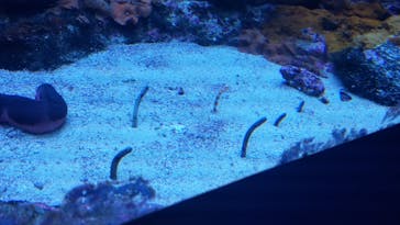 サンシャイン水族館に投稿された画像（2022/10/2）