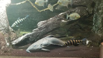 サンシャイン水族館に投稿された画像（2022/10/2）