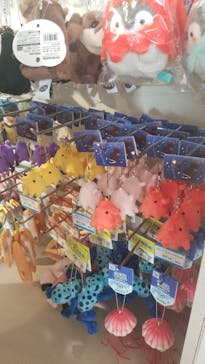 サンシャイン水族館に投稿された画像（2022/10/2）