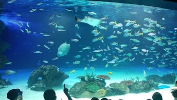 サンシャイン水族館に投稿された画像（2022/10/2）