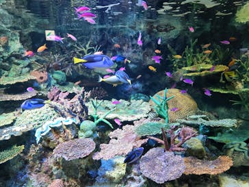 サンシャイン水族館に投稿された画像（2022/10/2）