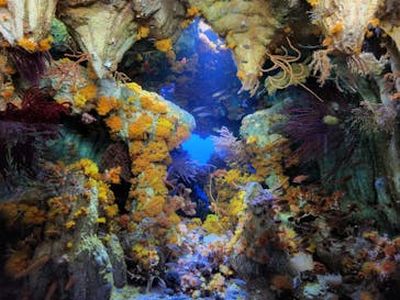 サンシャイン水族館に投稿された画像（2022/10/2）