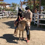 神戸どうぶつ王国に投稿された画像（2022/10/3）