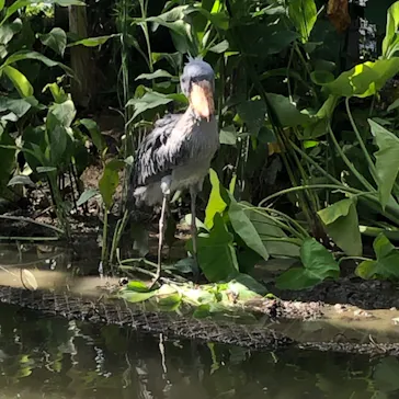 神戸どうぶつ王国に投稿された画像（2022/10/2）