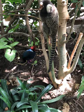 神戸どうぶつ王国に投稿された画像（2022/10/2）