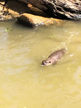 神戸どうぶつ王国に投稿された画像（2022/10/2）