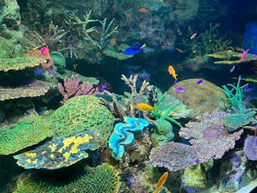 サンシャイン水族館に投稿された画像（2022/10/2）