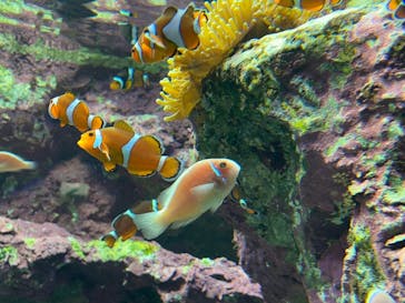 サンシャイン水族館に投稿された画像（2022/10/2）