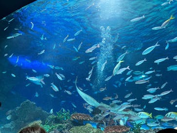 サンシャイン水族館に投稿された画像（2022/10/2）