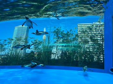 サンシャイン水族館に投稿された画像（2022/10/2）