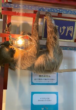 アニタッチみなとみらいに投稿された画像（2022/10/3）