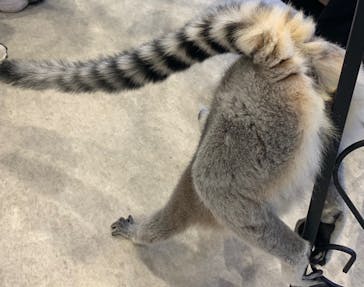 アニタッチみなとみらいに投稿された画像（2022/10/3）