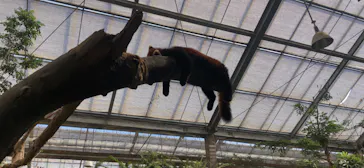 神戸どうぶつ王国に投稿された画像（2022/10/3）