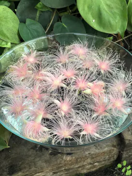 神戸どうぶつ王国に投稿された画像（2022/10/3）